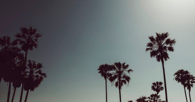 Los Angeles Real Estate: Thriving in a Soft Market as a Buyer