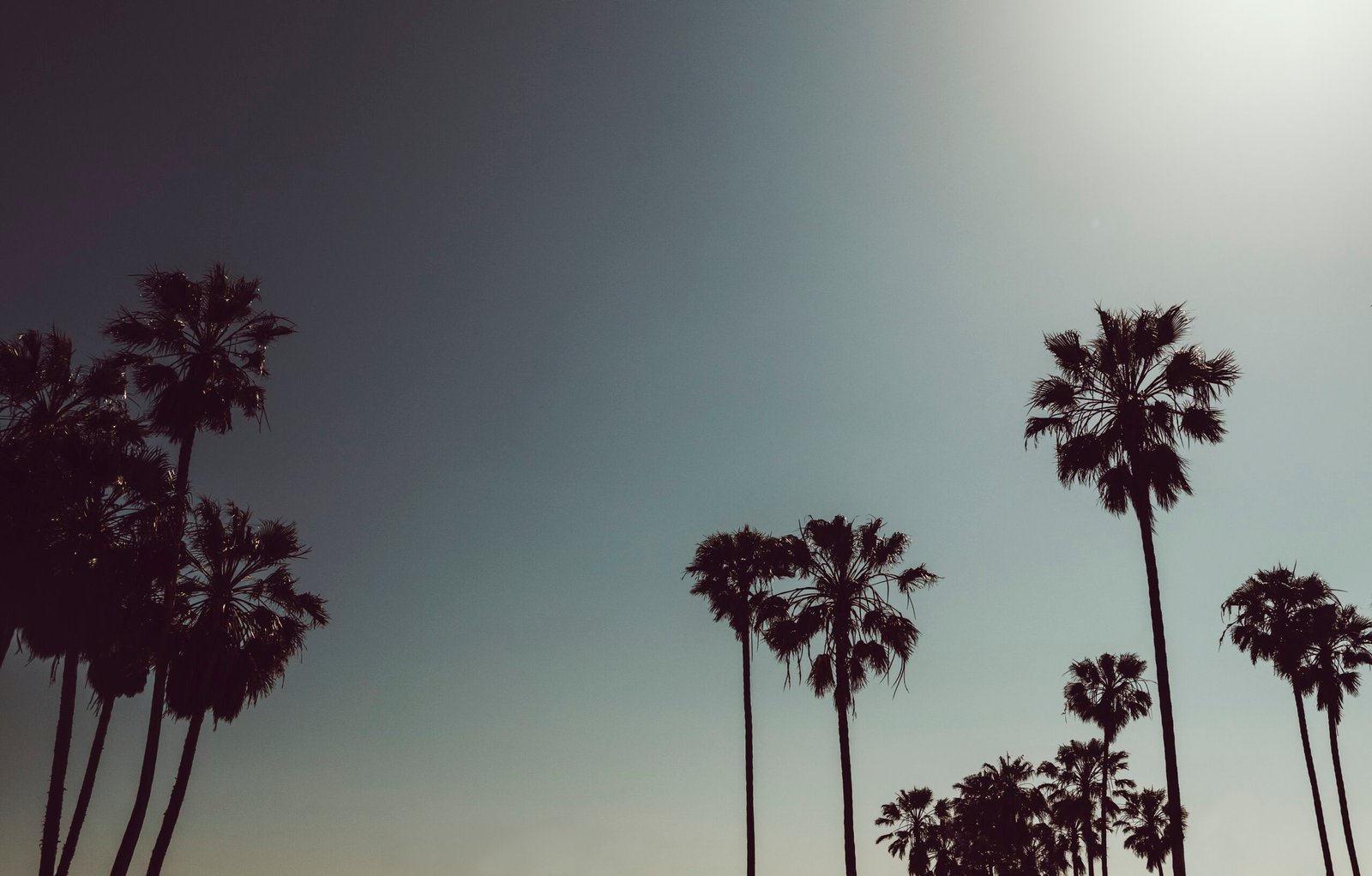 Los Angeles Real Estate: Thriving in a Soft Market as a Buyer